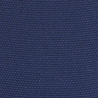 チャンピオン キャンバス ブルー WF68565