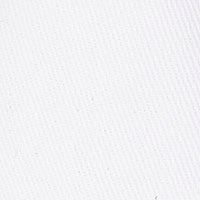 センター スリー ボート ツイル ホワイト WF69381