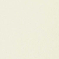 ジャンプ キック レザー フォクシング ストライプ ナチュラルホワイト WH69170