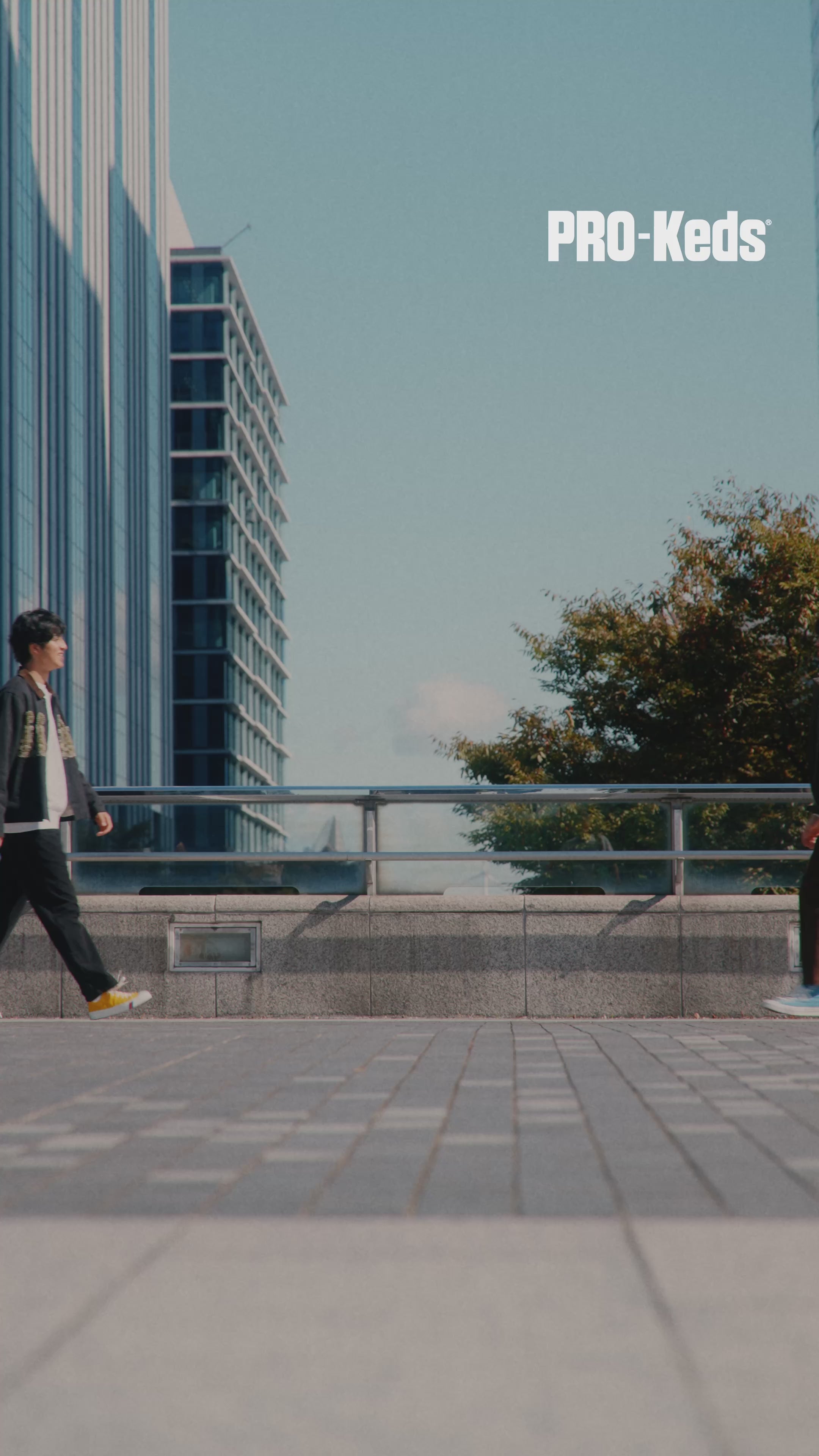 動画を読み込む: 